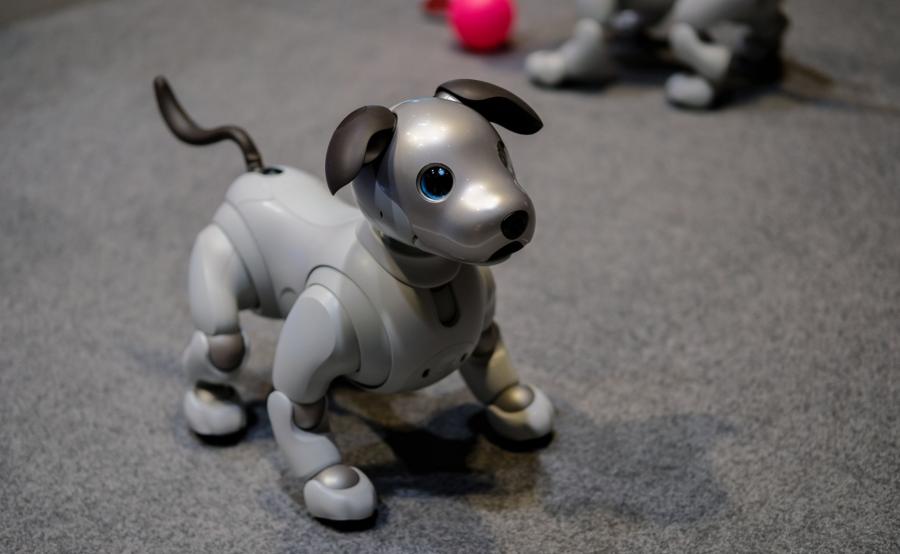 Aibo
