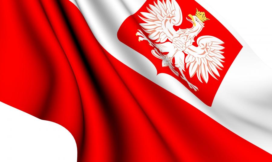 https://s9.dziennik.pl/pliki/3248000/3248792-polska-flaga-900-536.jpg